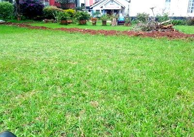 0.95 Acre Plot with Garden