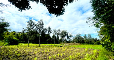3/4 Acre Kiserian Plot at KSh 18M