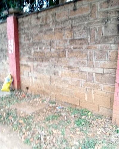 1.1 Acre Commercial Property at KSh 550M