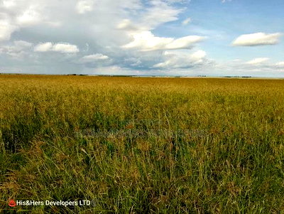 180 Acres in Narok Ololulunga Area at 500,000 Per Acre. - Image 2