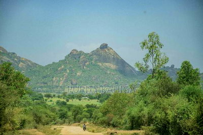 Commercial Prime Plots Machakos - Image 1