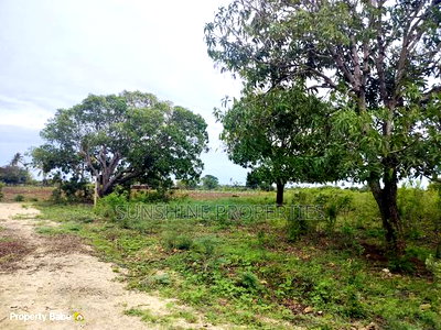 Kizingo-Malindi Plots for Sale - Image 8