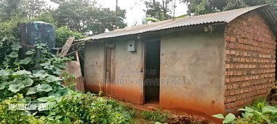 Kairungu Avocados and Muguka Shamba - Image 17