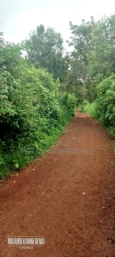 Kairungu Avocados and Muguka Shamba - Image 14