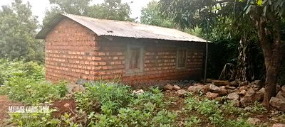 Kairungu Avocados and Muguka Shamba - Image 16
