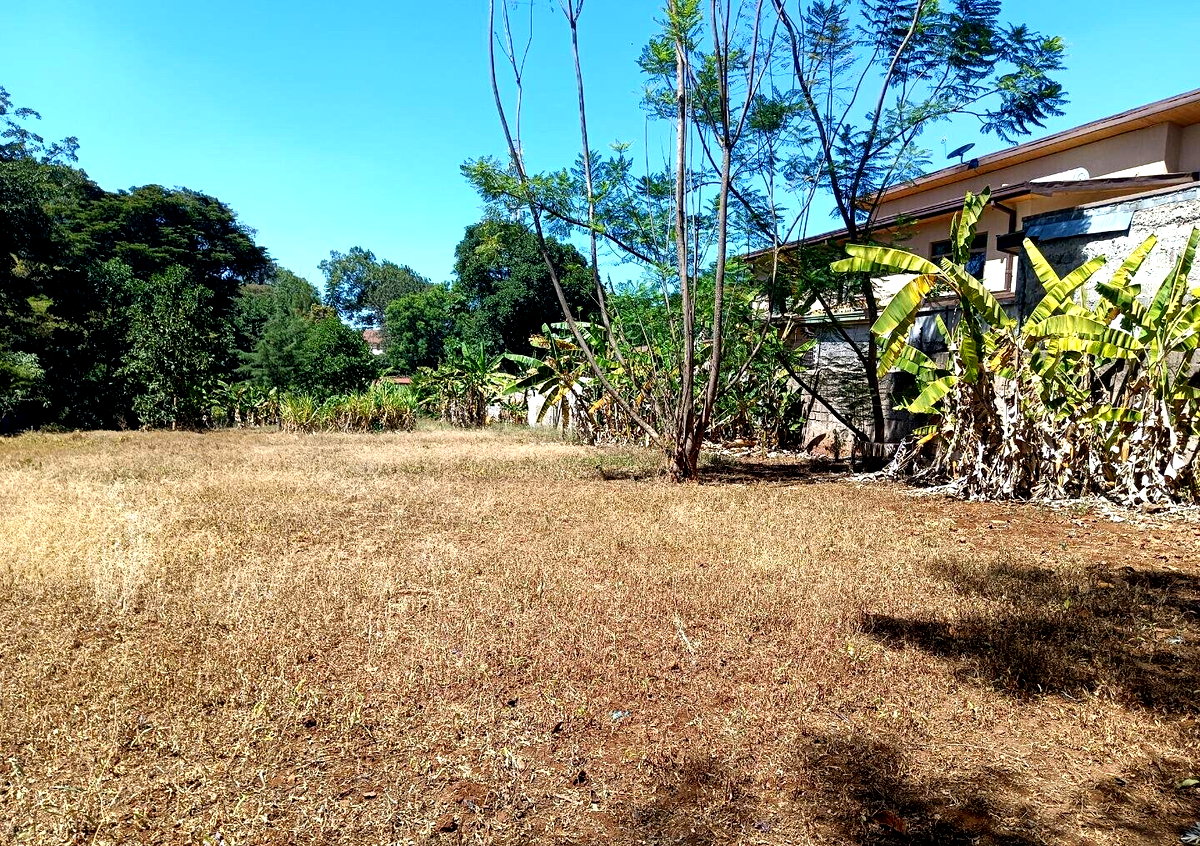 Pet Friendly 0.75 Acre Plot