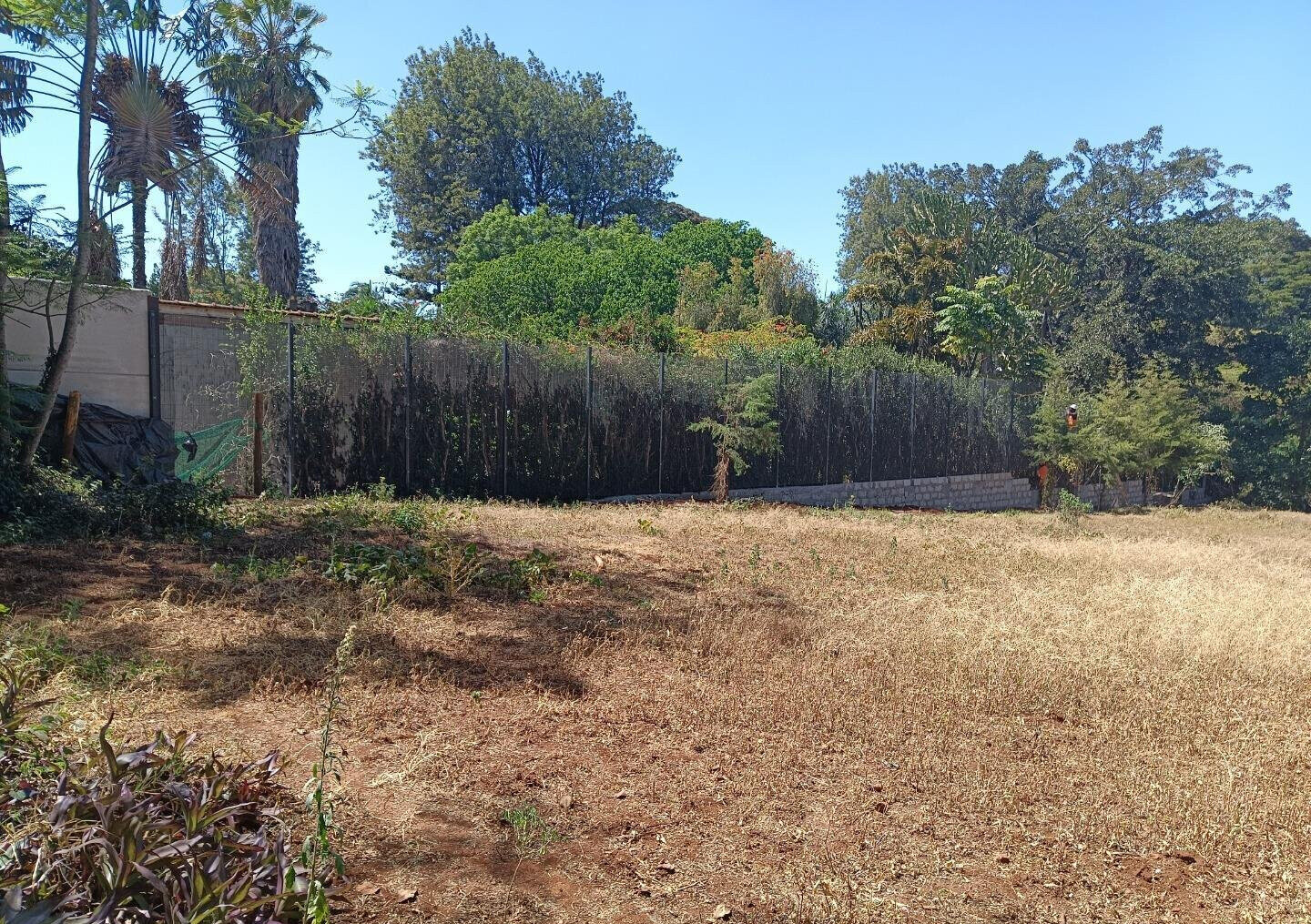 Pet Friendly 0.75 Acre Plot