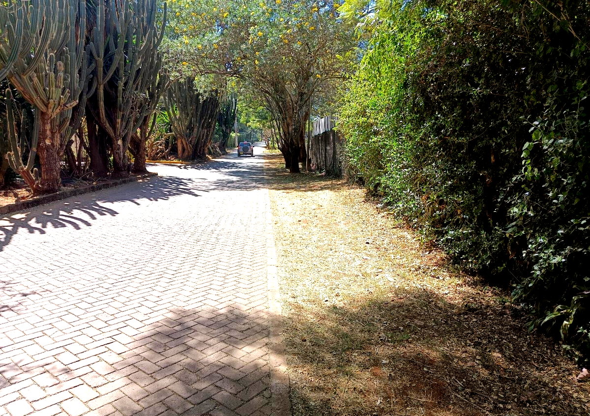 Pet Friendly 0.75 Acre Plot