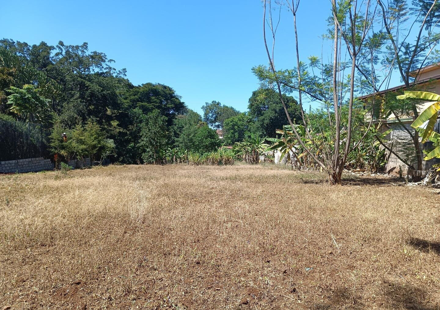Pet Friendly 0.75 Acre Plot