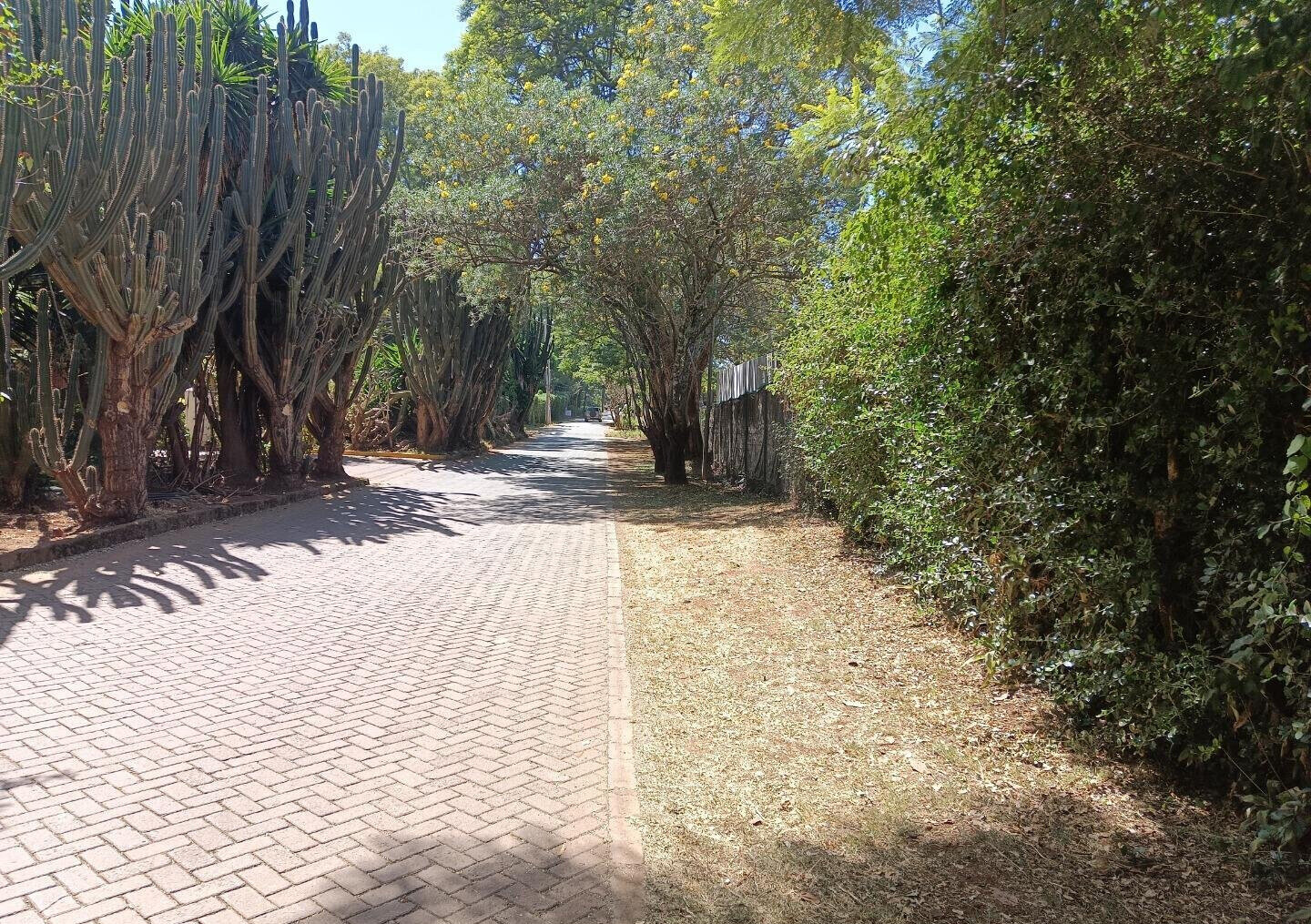 Pet Friendly 0.75 Acre Plot