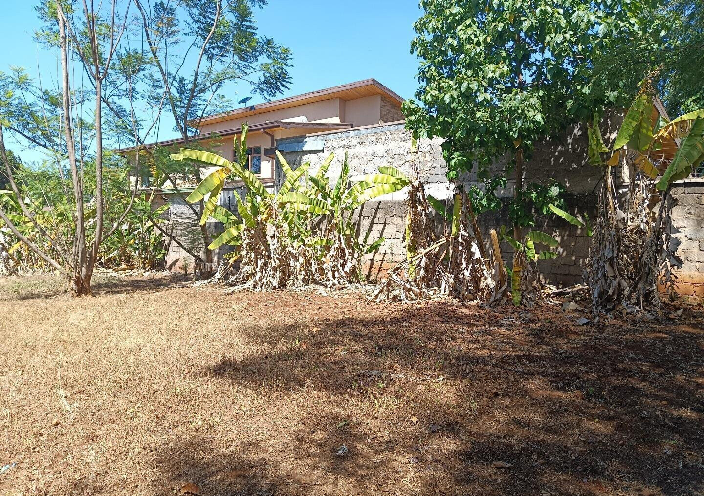 Pet Friendly 0.75 Acre Plot