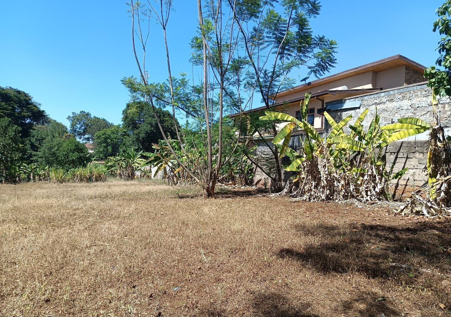 Pet Friendly 0.75 Acre Plot