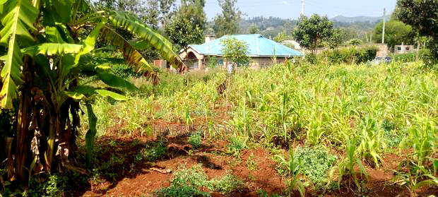 Residential Plots for Sale in Ngong
