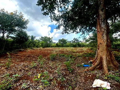 Serviced 1/4 Acre for Sale - Image 7