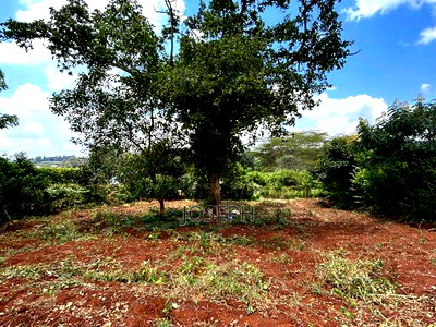 Serviced 1/4 Acre for Sale - Image 8