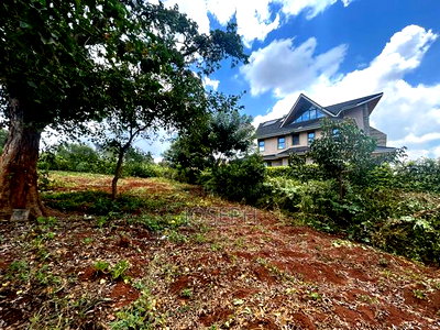 Serviced 1/4 Acre for Sale - Image 5