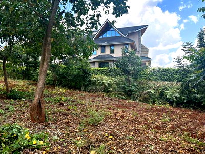 Serviced 1/4 Acre for Sale - Image 9