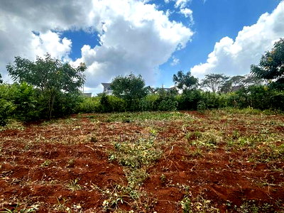 Serviced 1/4 Acre for Sale - Image 3