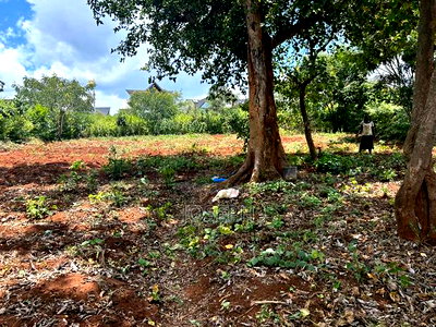 Serviced 1/4 Acre for Sale - Image 6