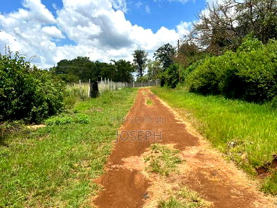 Serviced 1/4 Acre for Sale - Image 4