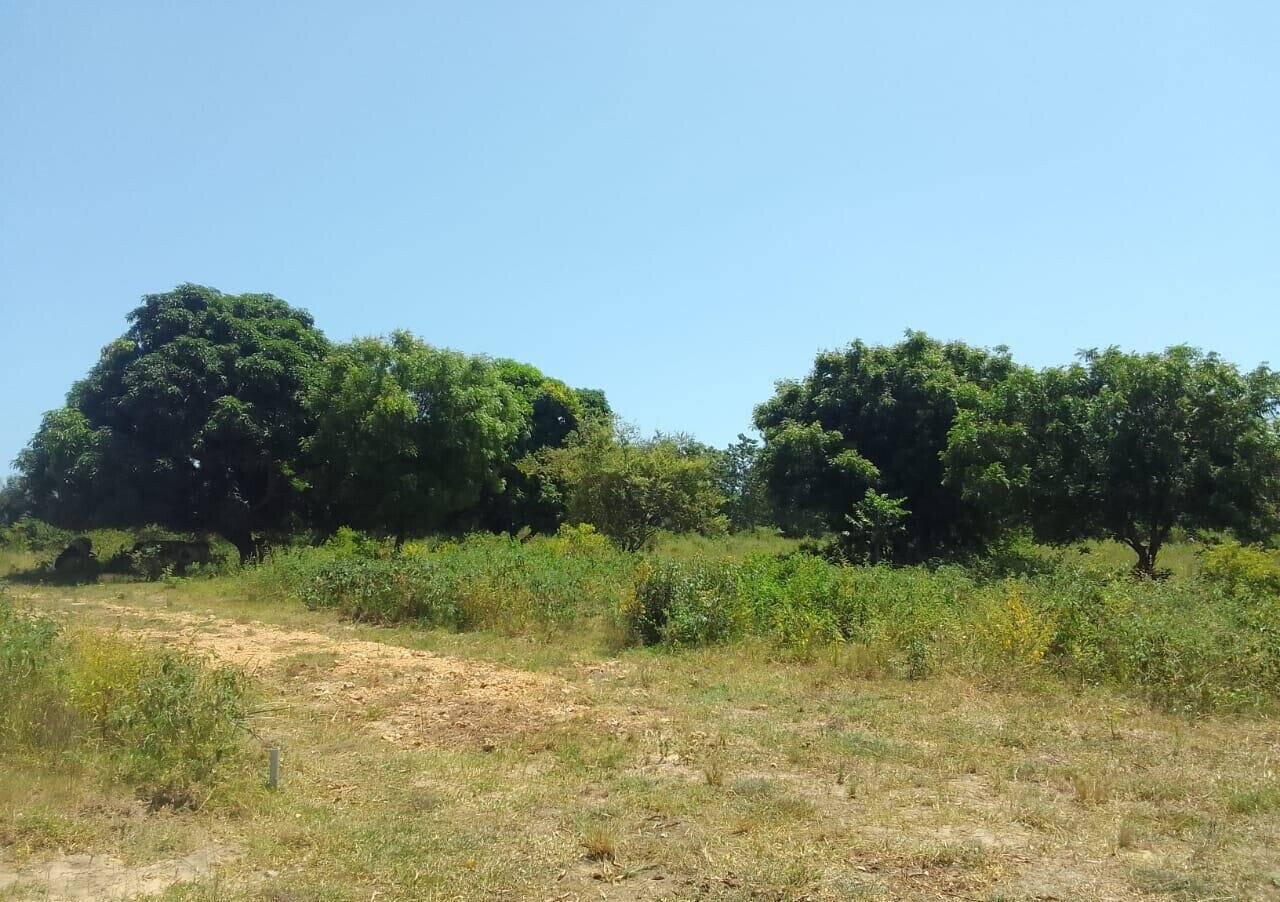 1-Acre Plot for KSh 7.5M in Kikambala