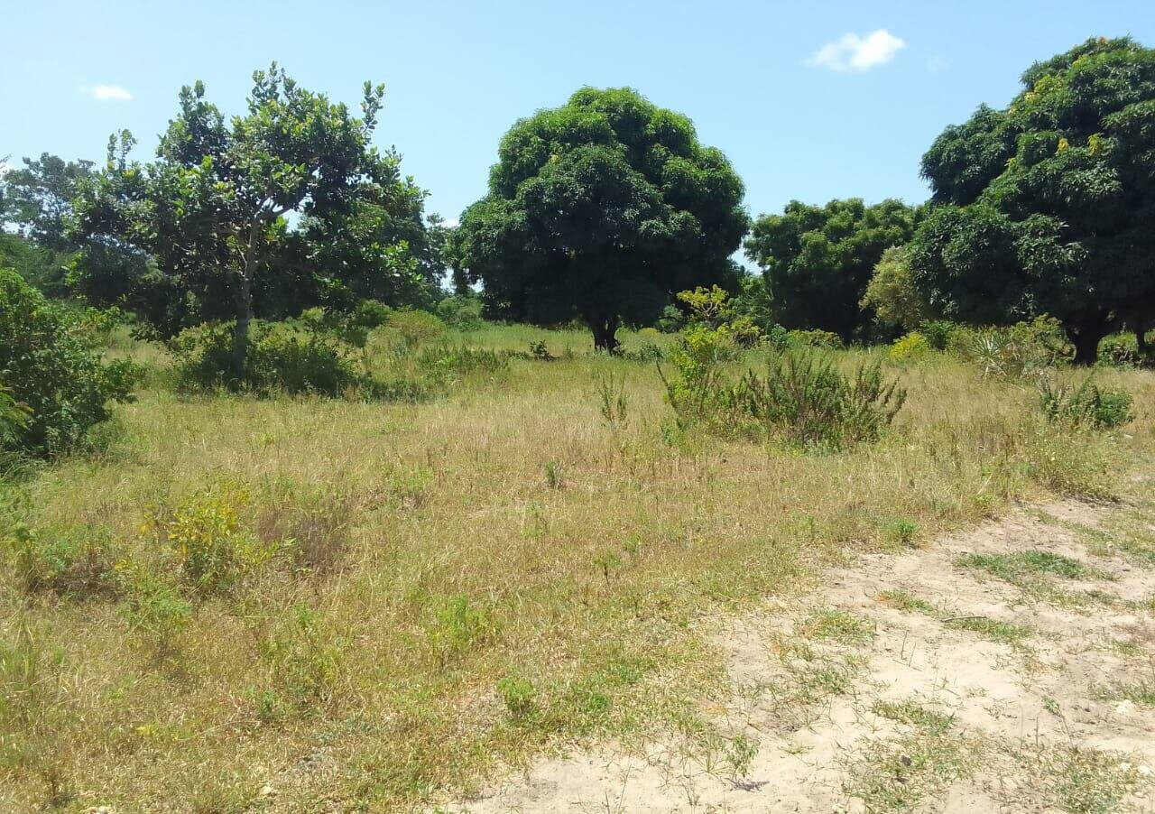 1-Acre Plot for KSh 7.5M in Kikambala