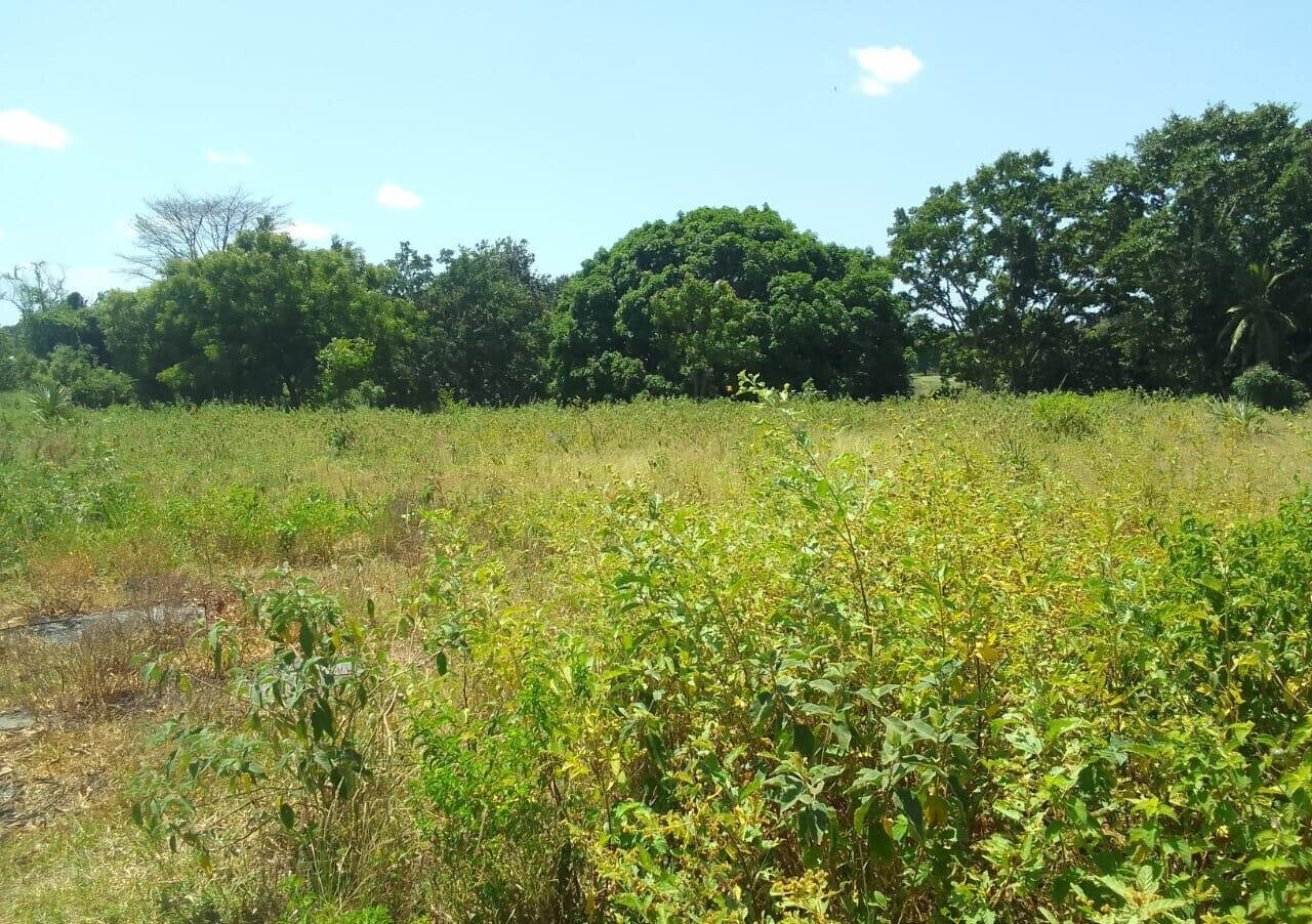 1-Acre Plot for KSh 7.5M in Kikambala