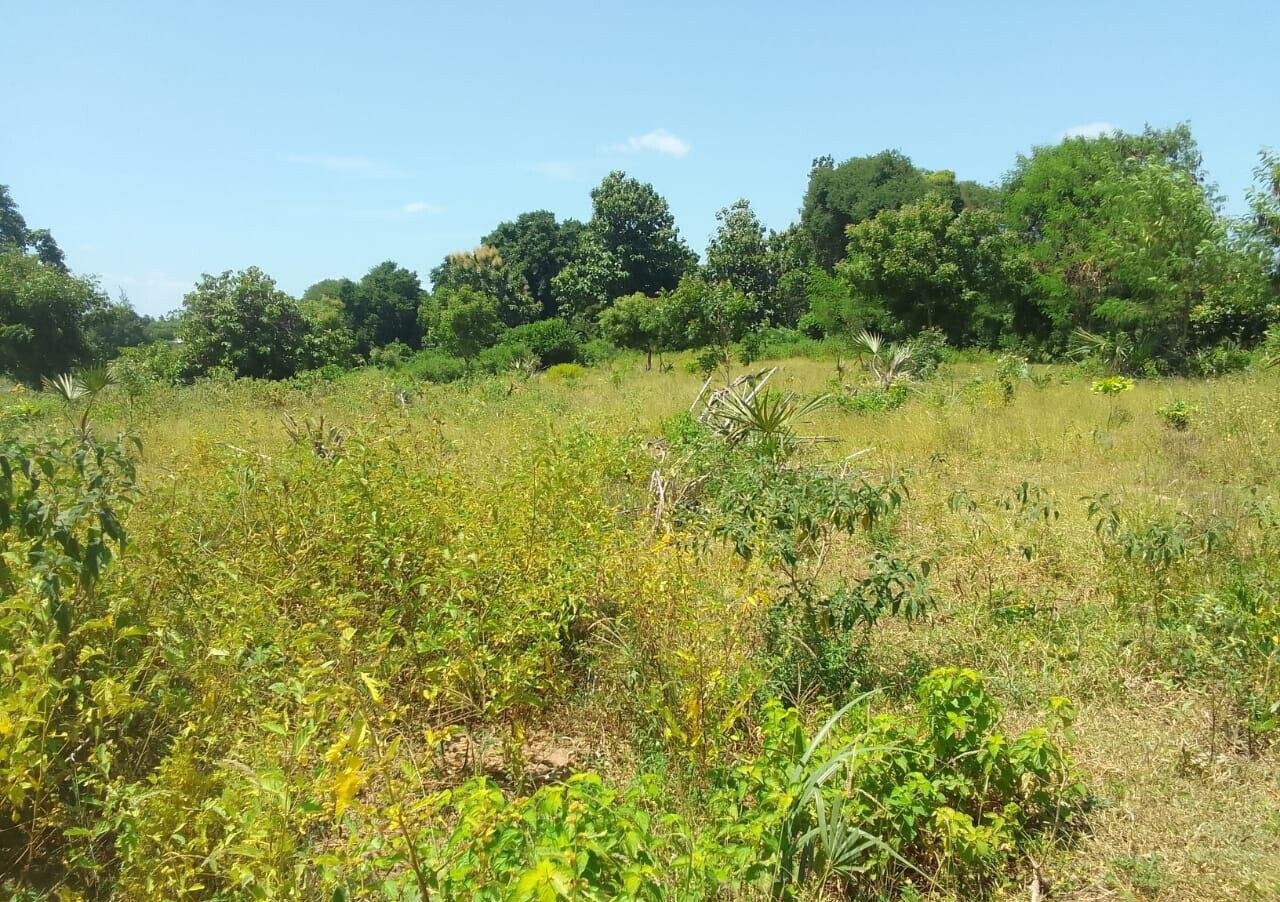 1-Acre Plot for KSh 7.5M in Kikambala