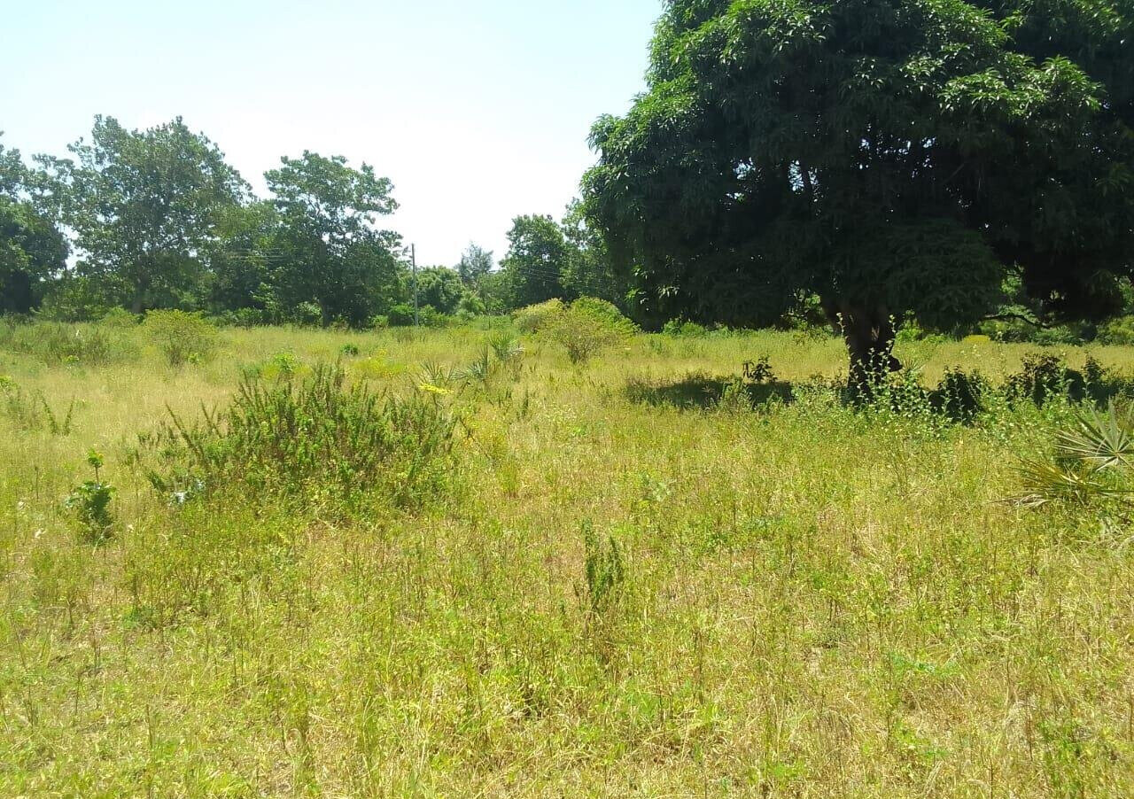 1-Acre Plot for KSh 7.5M in Kikambala