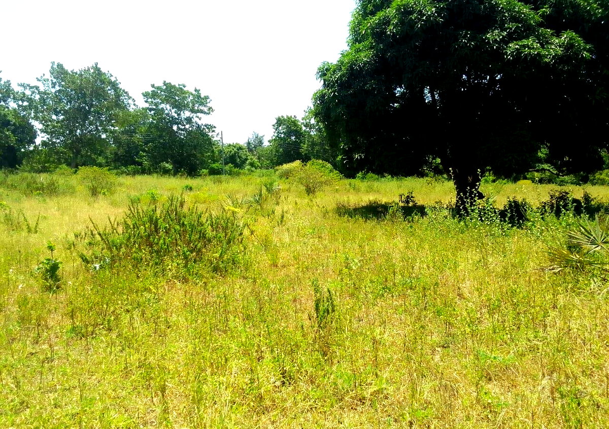 1-Acre Plot for KSh 7.5M in Kikambala