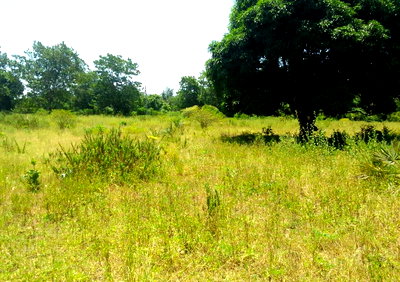 1-Acre Plot for KSh 7.5M in Kikambala