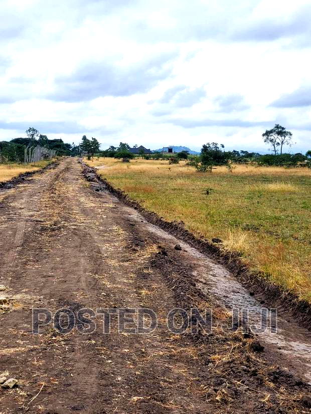 PATA Ploti Na Lipa Mdogo Mdogo