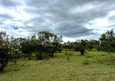 1.1 Acres in Naivasha for Rent