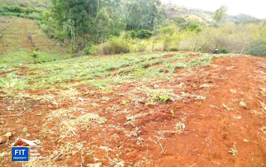 1 Acre Highway Frontage Plot