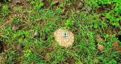 Quarter-Acre Residential Plot with Title - Maasai Lodge, Rongai