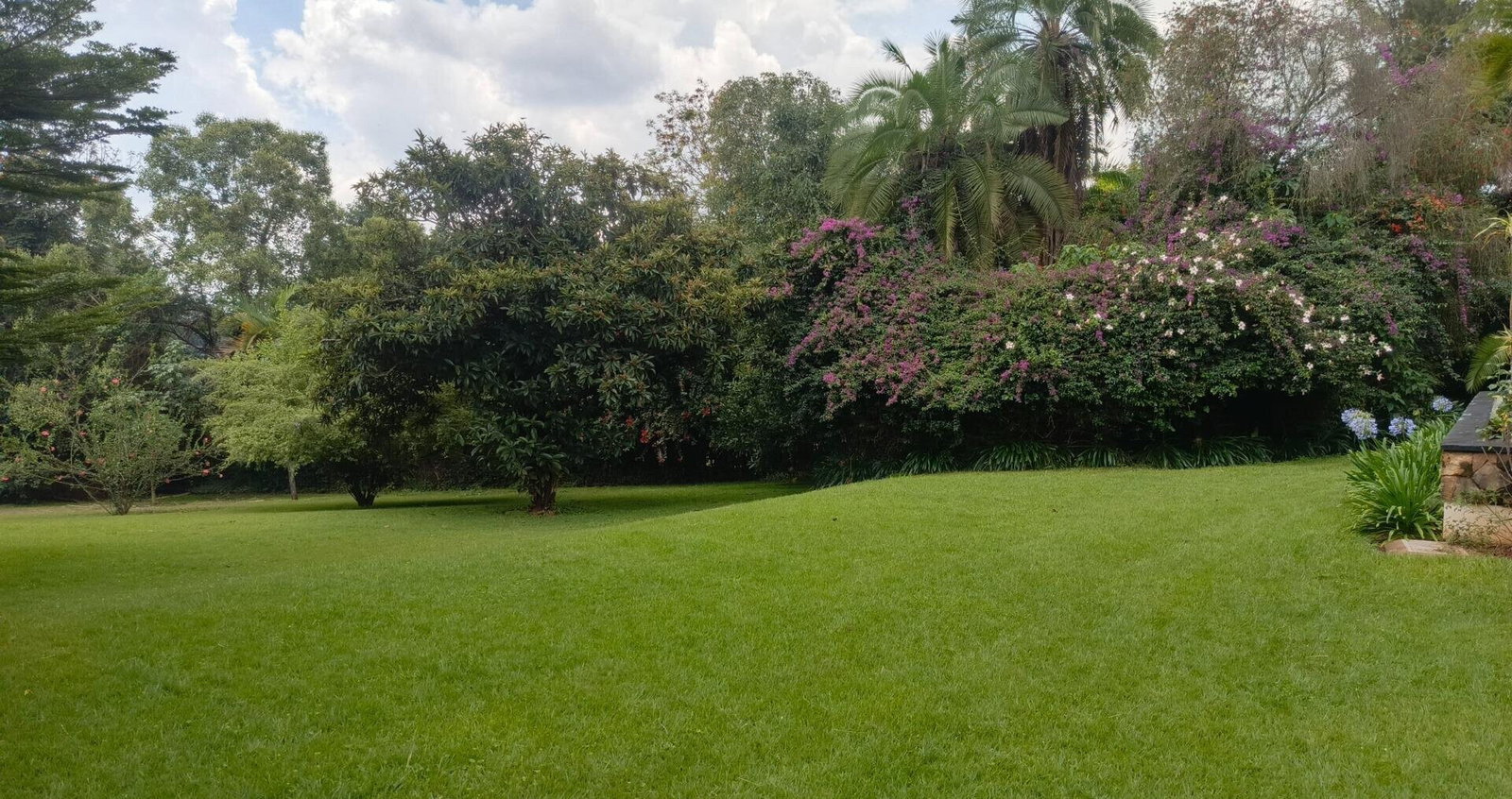 2.4-Acre Westlands Plot for KSh 950M