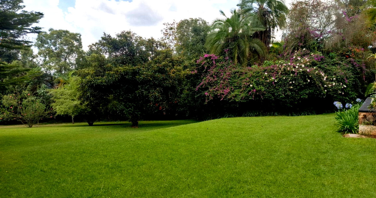 2.4-Acre Westlands Plot for KSh 950M