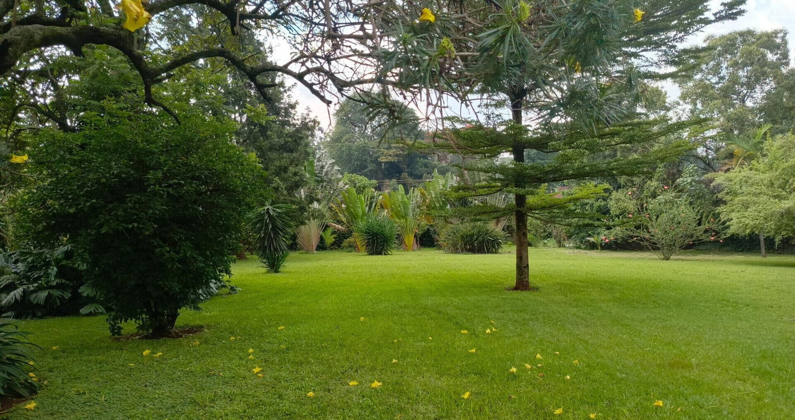 2.4-Acre Westlands Plot for KSh 950M