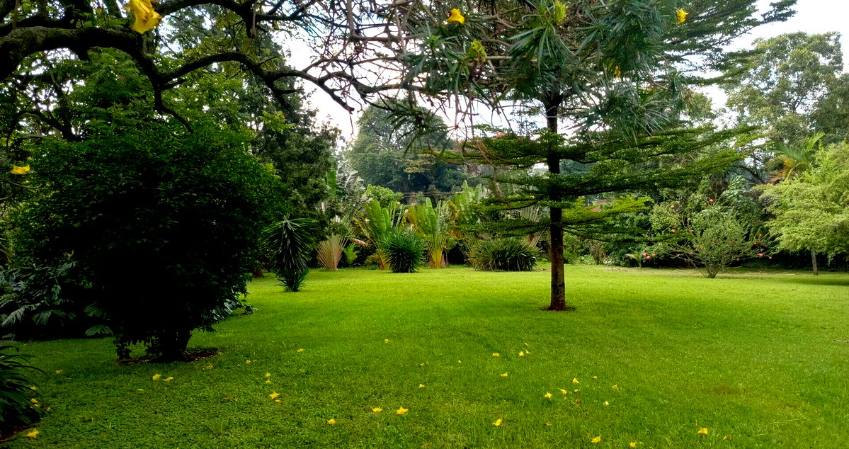 2.4-Acre Westlands Plot for KSh 950M