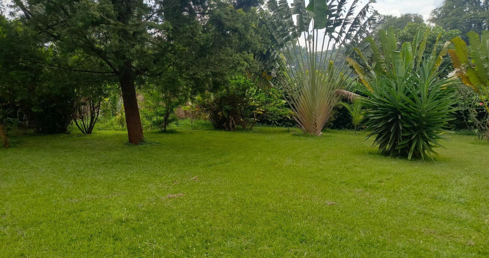 2.4-Acre Westlands Plot for KSh 950M