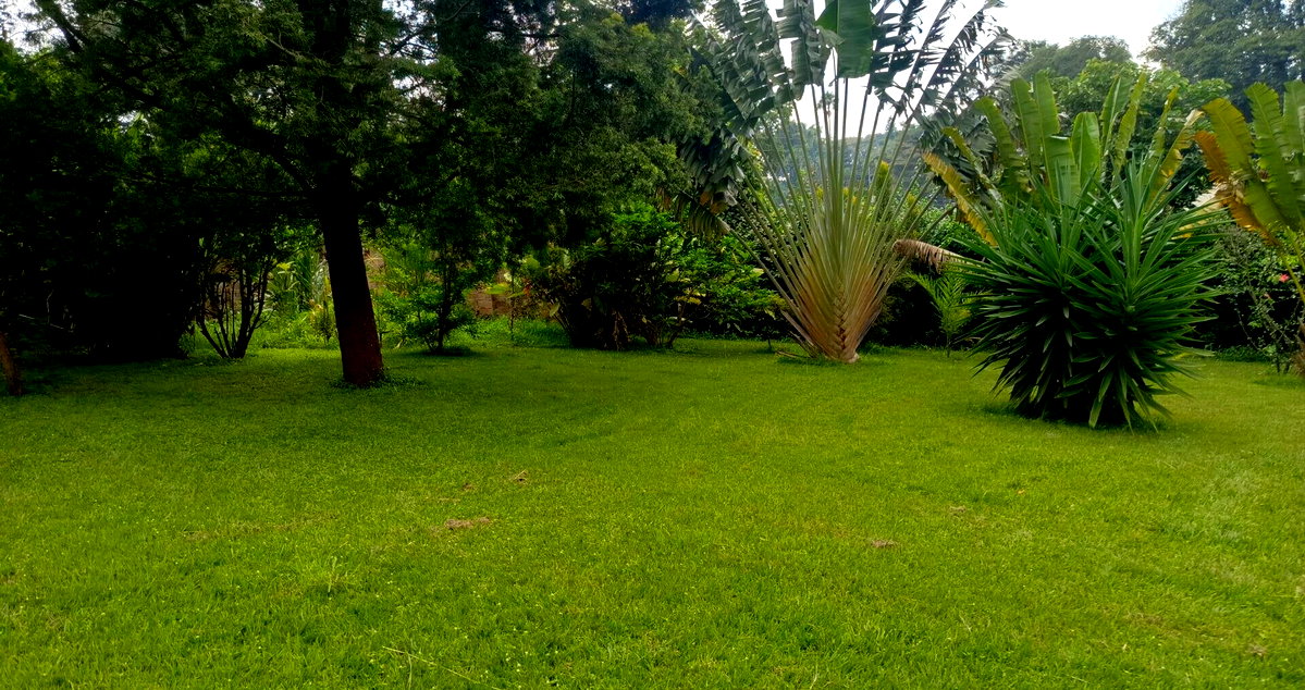 2.4-Acre Westlands Plot for KSh 950M