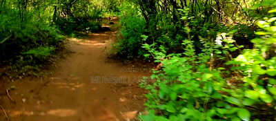 Embu, Kiambere Grazing Agricultural Land Next to the River - Image 5
