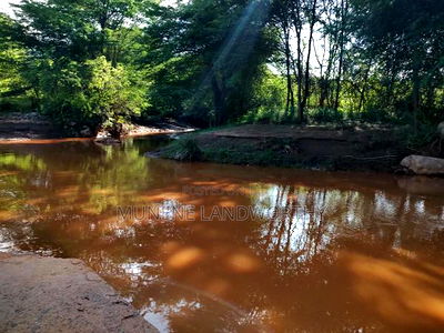 Embu, Kiambere Grazing Agricultural Land Next to the River - Image 13