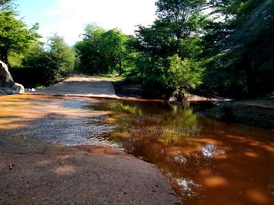 Embu, Kiambere Grazing Agricultural Land Next to the River - Image 2