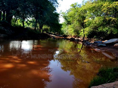 Embu, Kiambere Grazing Agricultural Land Next to the River - Image 4