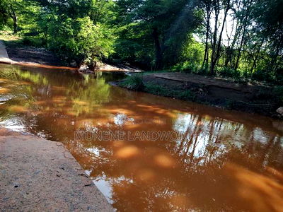 Embu, Kiambere Grazing Agricultural Land Next to the River - Image 1