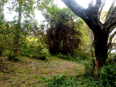 Karen Land for Leseing - Image 2