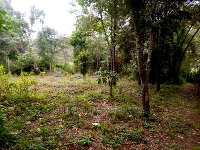 Karen Land for Leseing - Image 1