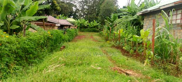 50*100 Plot for Sale in Ngong Upper Matasia