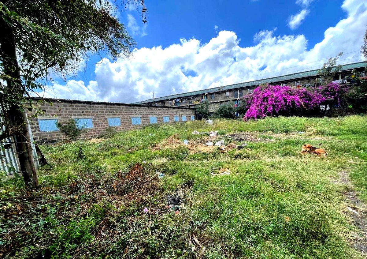 KSh 40M Quarter Acre Land